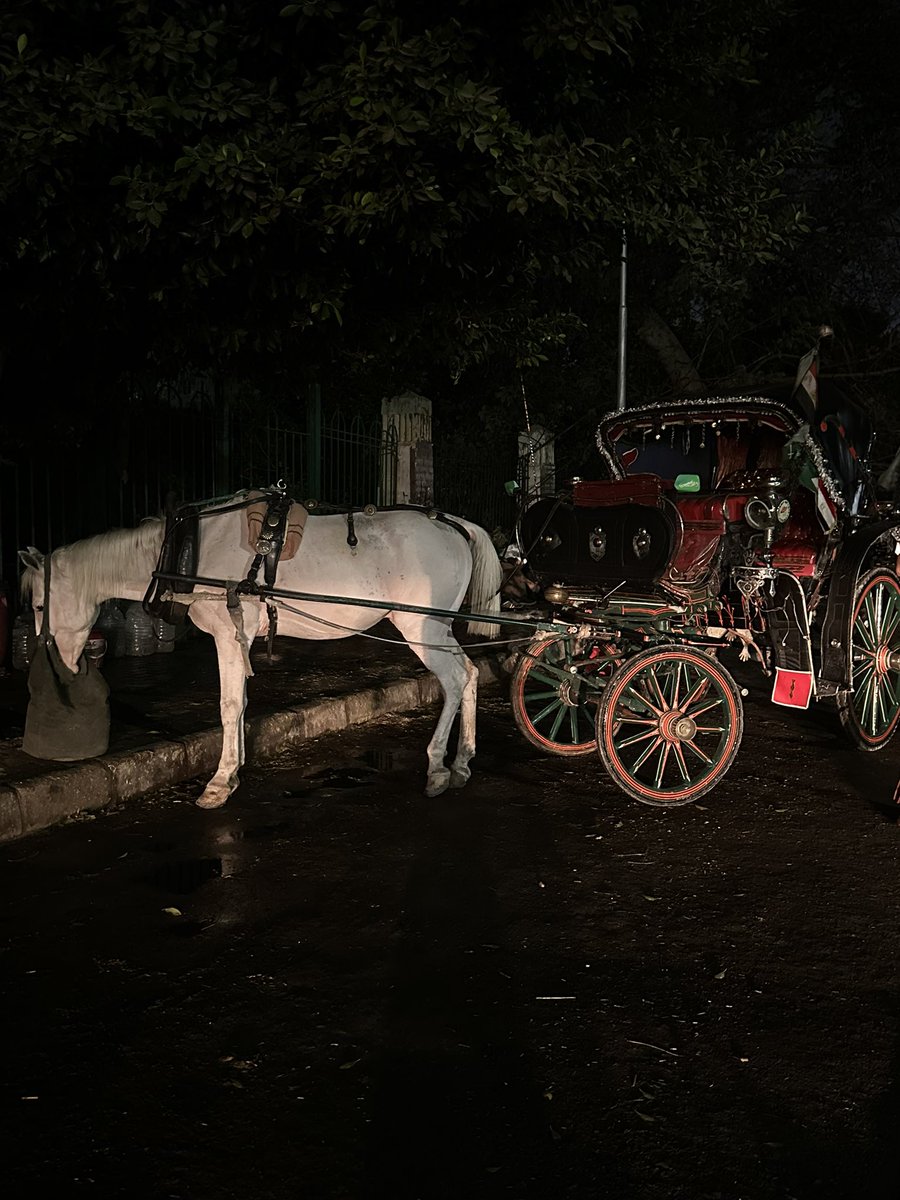 _a6ic's tweet image. 