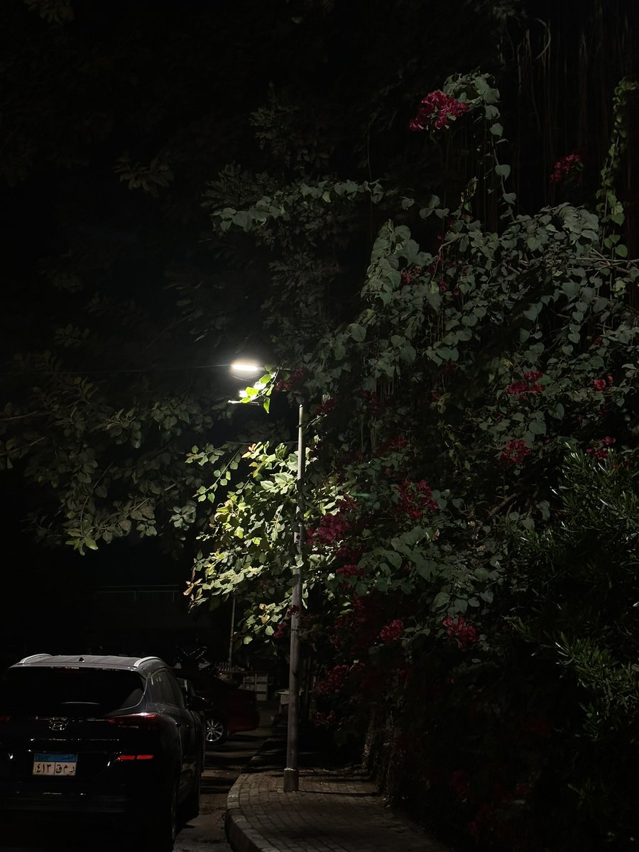 _a6ic's tweet image. 