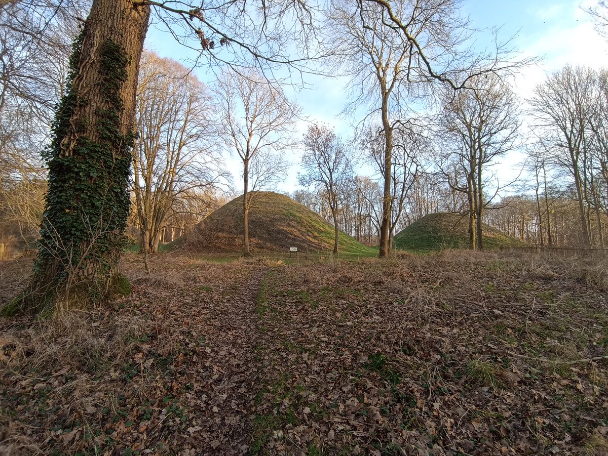 redmonds_arthur's tweet photo. The massive Roman burial mounds at Bartlow hills, and their new mole counterparts https://t.co/gta5crN6H0