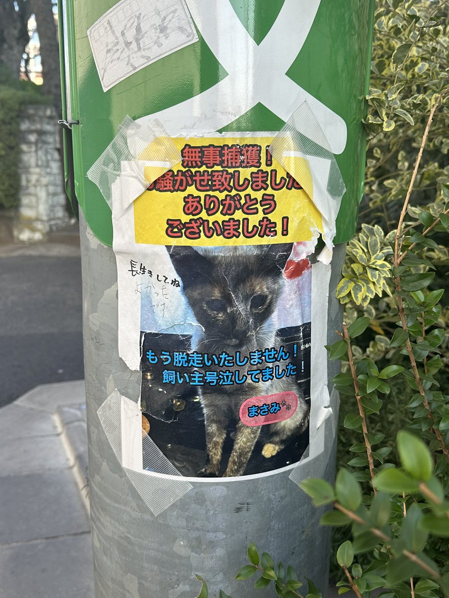 tkzwgrs's tweet photo. 【朗報】「迷い猫探してます」系の張り紙、めずらしく報告バージョンが観測される https://t.co/5yYc3ziUxW