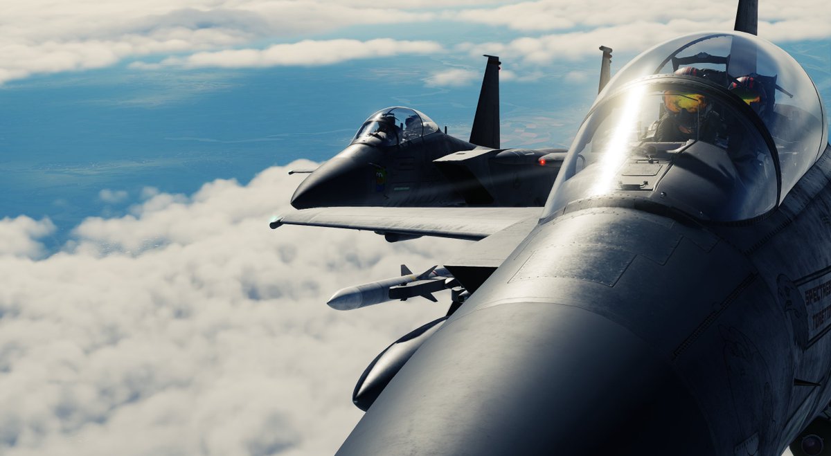 SpectreBit_'s tweet image. A pair of absolutely gorgeous Mudhens #F15E #strikeeagle #dcs @RAZBAM