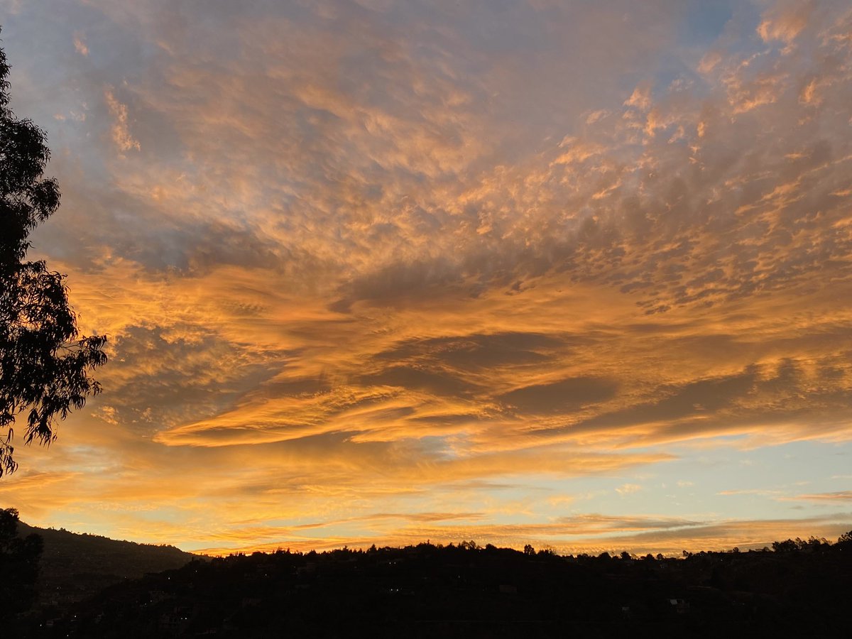 lamarianana's tweet photo. ¿Envidia?
 Envidia a los tinacos que no se pierden ni un solo atardecer. https://t.co/dJM8hdTtyZ