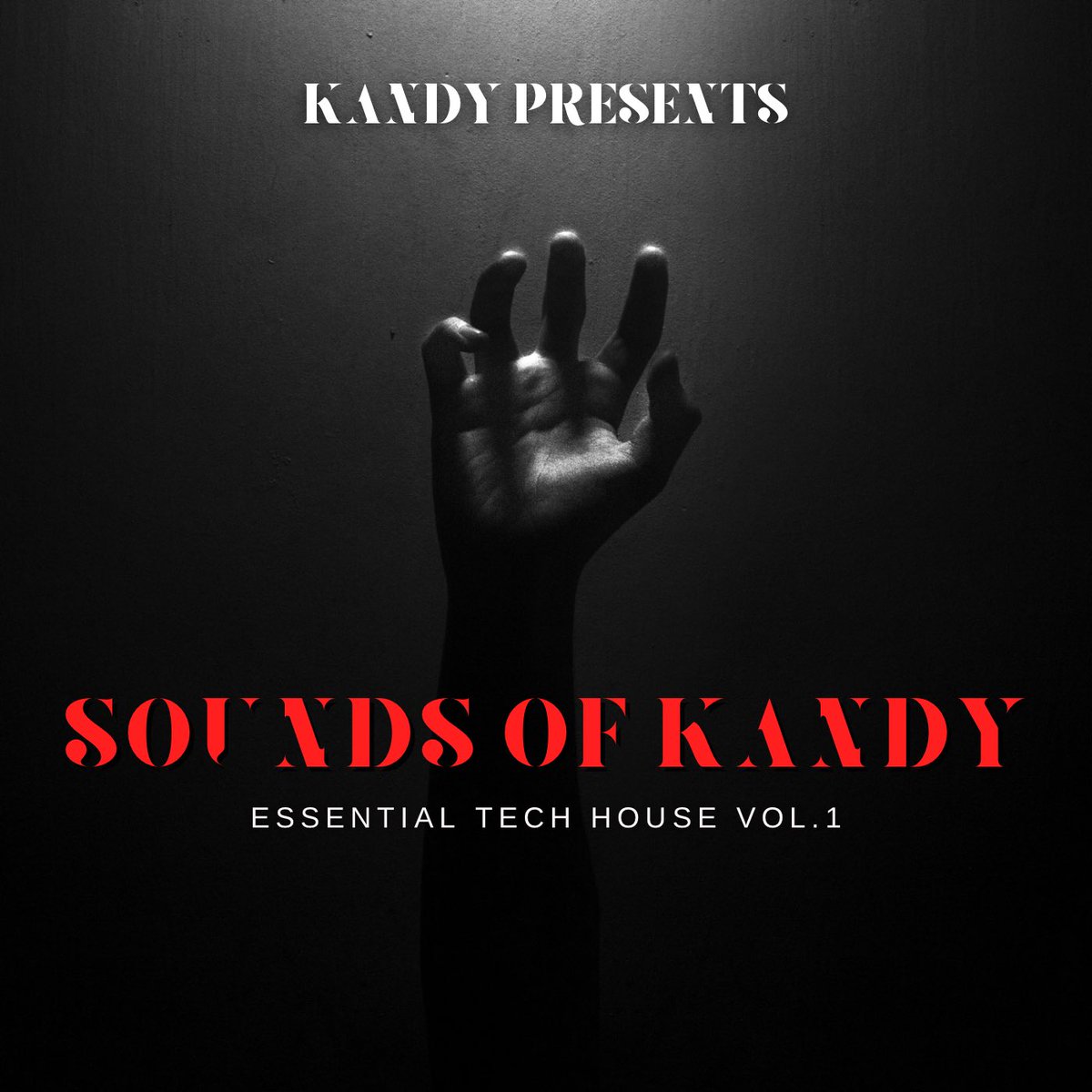 i’m excited to give you guys my first ever sample pack! loaded with over 180+ tech house samples that i personally use in most of my tech house remixes! on sale now 🖤👇🏻

thisiskandy.com