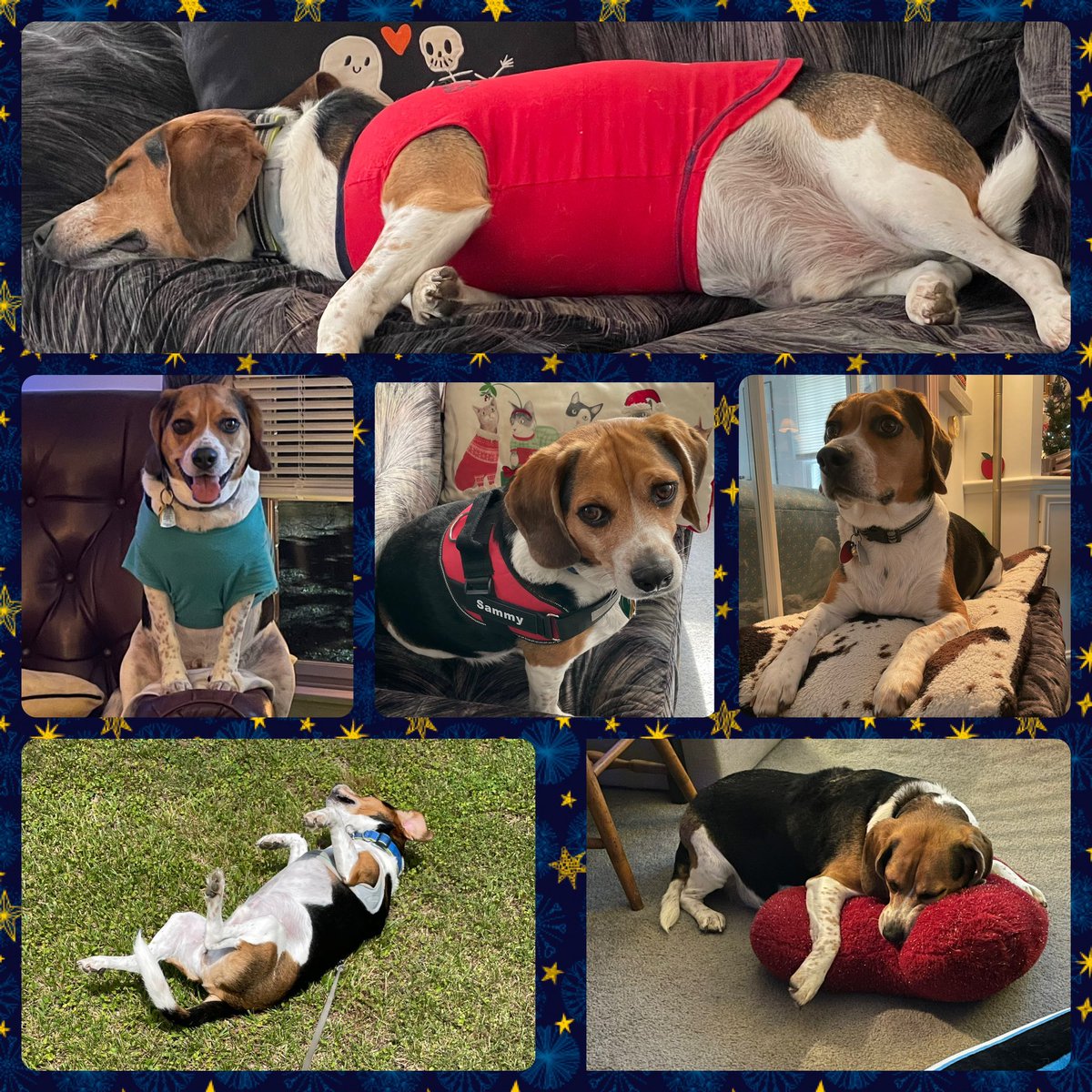 Sherry Reich tweet media