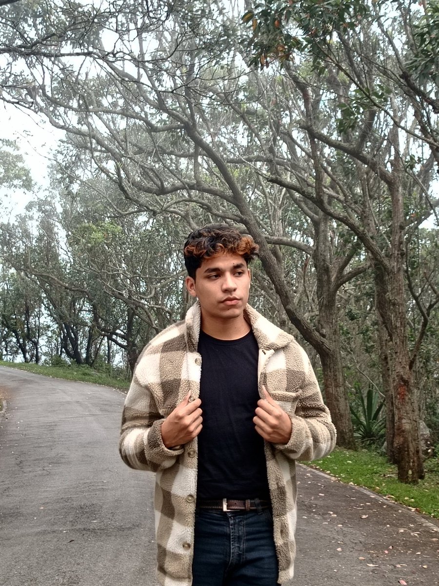 Nadie puede traerte paz sino tú mismo. <<Ralph Waldo Emerson>>