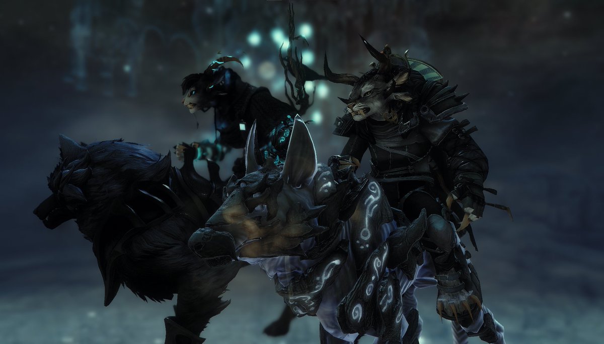 Grinuzzz's tweet photo. just two cats riding dogs 😎
#gw2 #guildwars2 https://t.co/cWiPctLqZp