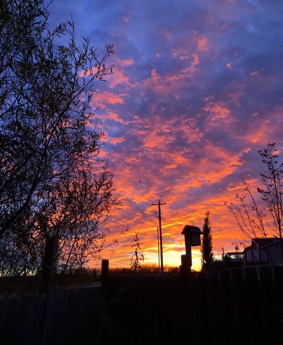 Beautiful, colourful skies this evening. #evening #nature #nature_brilliance #nature_perfection #sunset #colourful