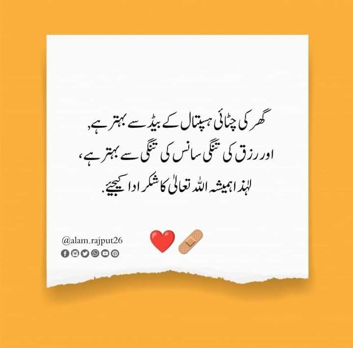 wild__catoo's tweet photo. Say alhumdulillah 🥰 https://t.co/t5EwC3DZYO