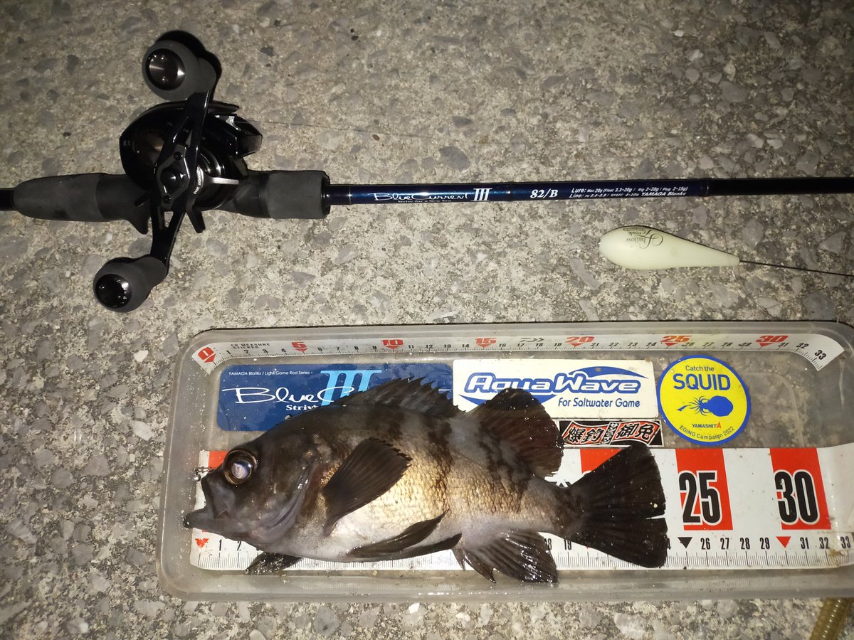 FatAngel_fish's tweet photo. 新年初釣行は大好きなフロートメバリングにしよう!
ということで行ってきました
極寒0℃!巻かなきゃ◯亡!?
新春デッドオアリトリーーーブ
1投目でキャスト切れしてどうなることかと思いましたが、無事あけおめばるできました☺️
#メバリング
#ハニーセット
#ブルーカレント3
#82B
#ハニービー https://t.co/NxNTLZcvSK
