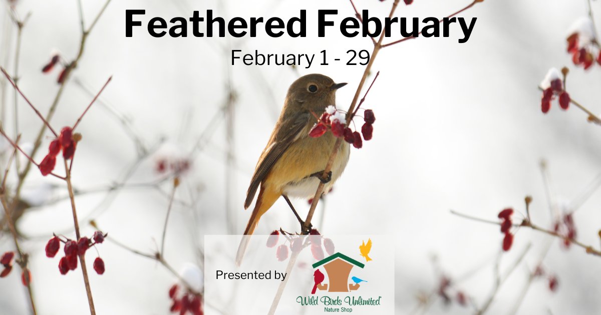 Sweet Home Alabama tweet media