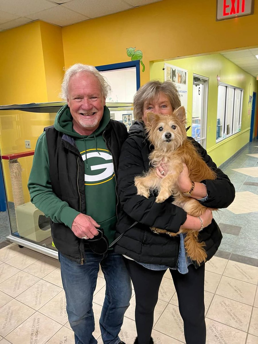 WeRateDogs tweet media