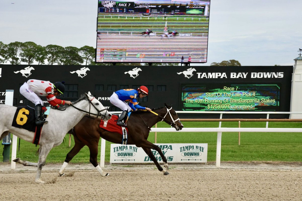 TampaBayDownsFL tweet picture