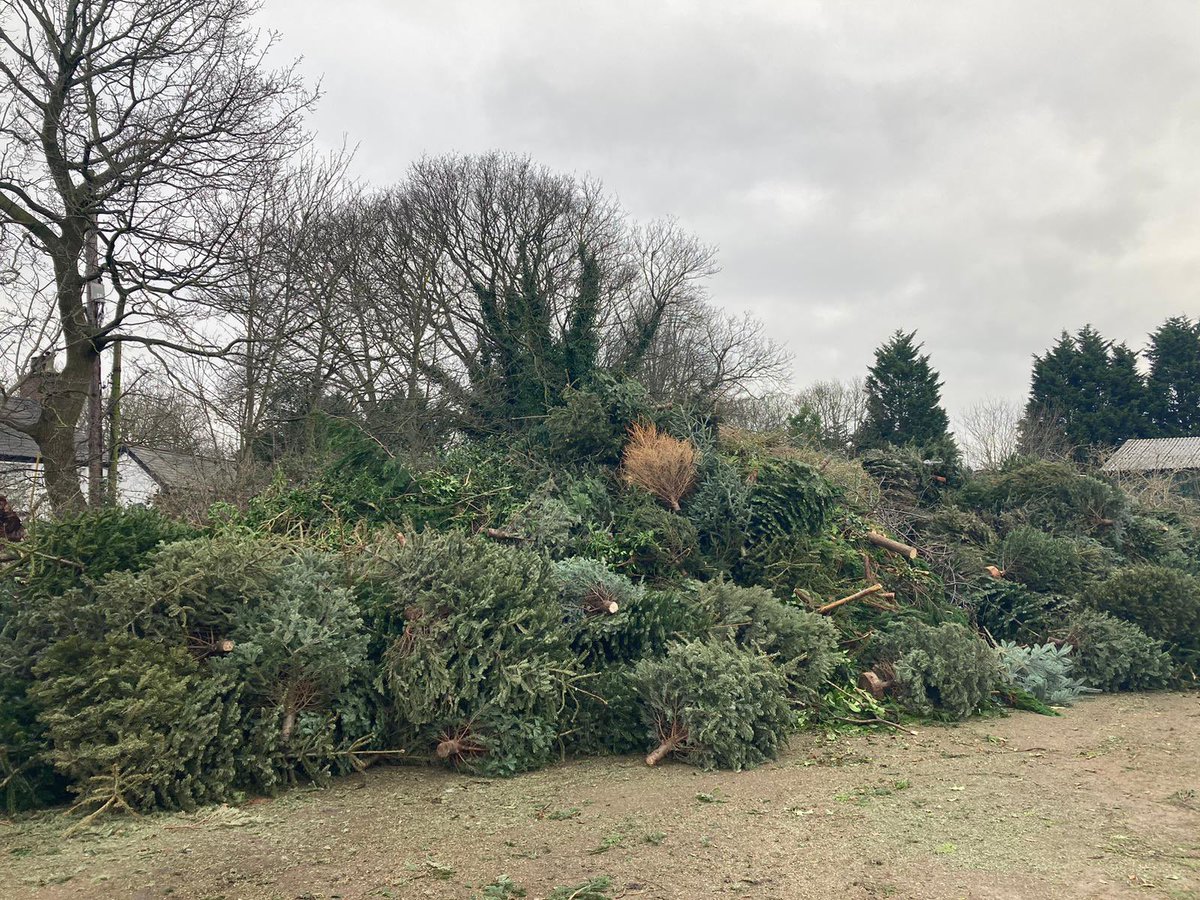 thehermanator66's tweet photo. St Roccos Christmas tree collection another year boxed off.Great effort by all involved for a fantastic charity 👍 https://t.co/Qh52G8zNPN