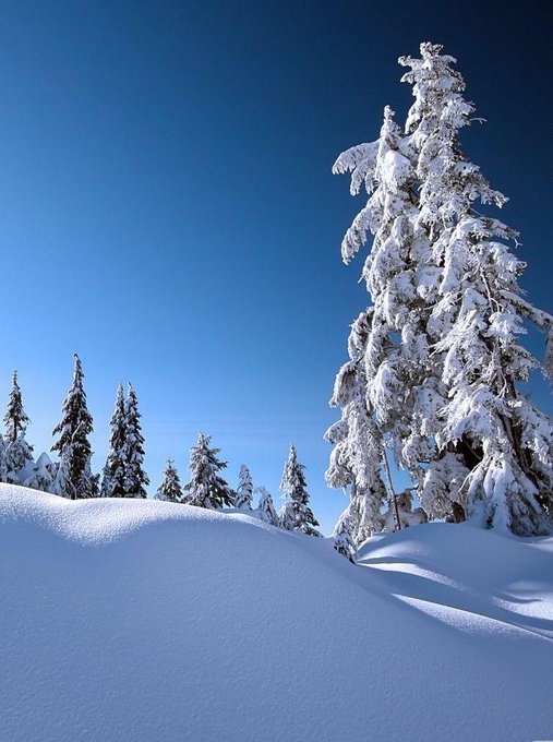 The place for relaxation.