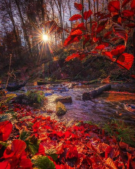 The place where the dream journey begins.