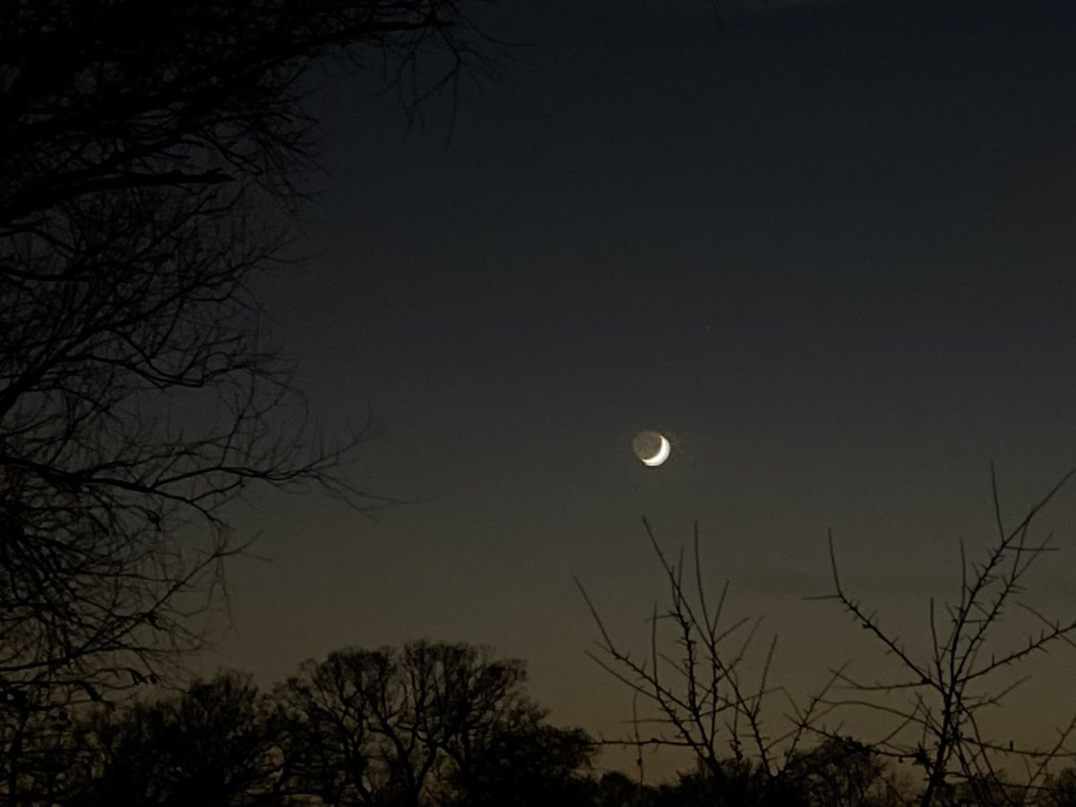 bill pollard tweet media