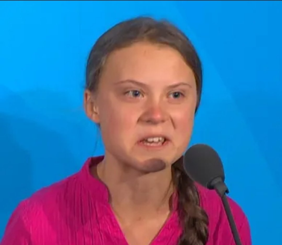 NotKennyRogers's tweet image. On the left is liberal hero Greta Thunberg angrily telling everyone the world will end in 2023 due to global warming.

On the right is the current view from my brother's garage in Milwaukee.