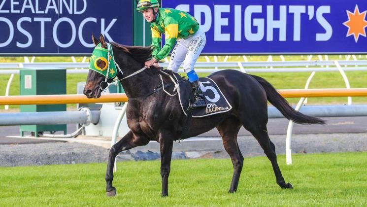 LOVERACINGNZ's tweet image. “He is a horse that has just got better with time, and we think he could be even better over a little further."

Capo Dell Impero was all class in carrying the 60kg top-weight to victory in the Waikouaiti Cup (2200m) for Brian &amp;amp; Shane Anderton. 

📖 READ: buff.ly/4aYS2Qj
