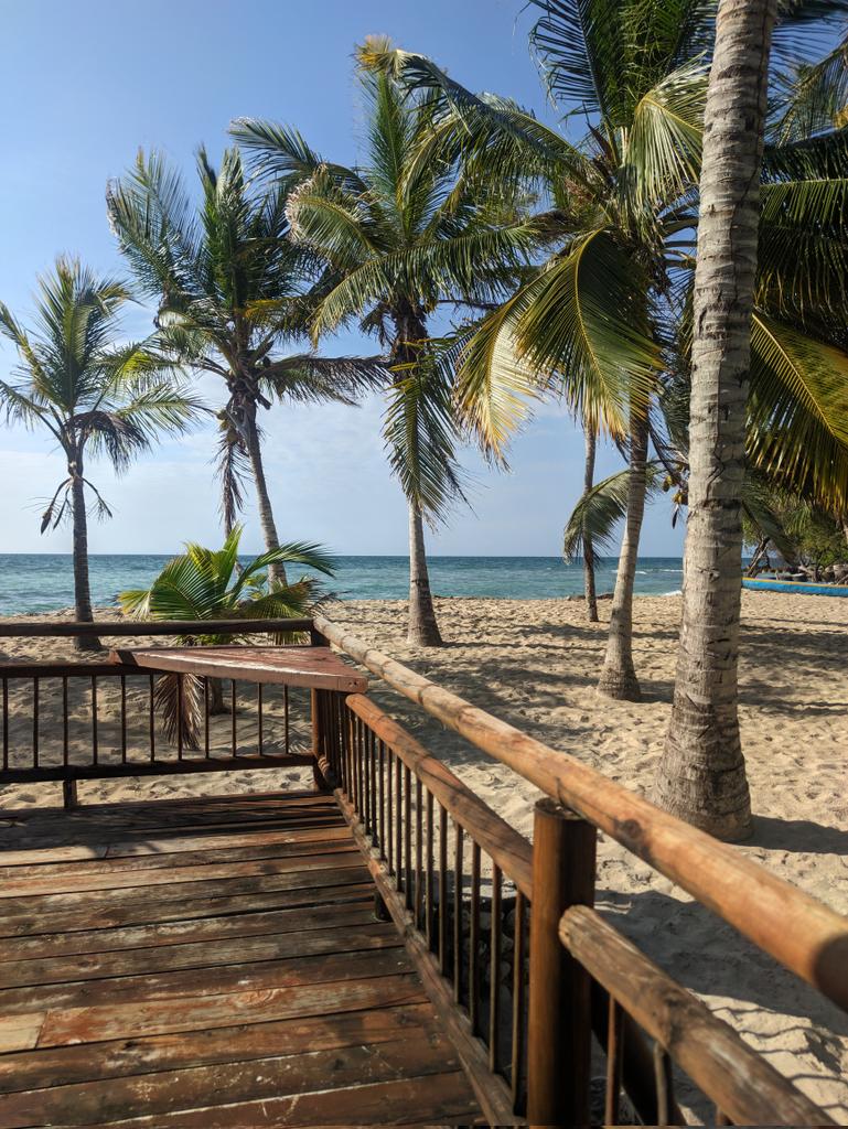 Entrenando para la VCT 🥥