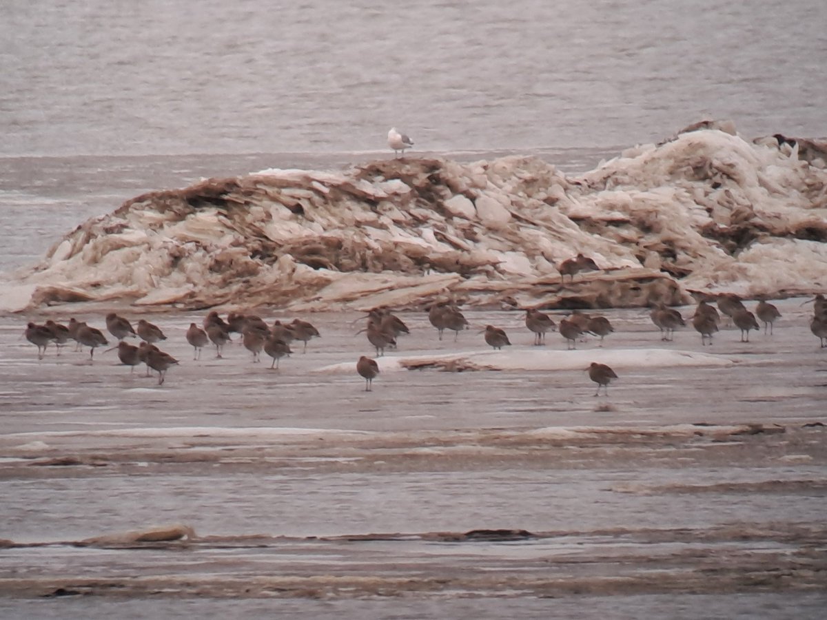 Roelf Hovinga tweet media