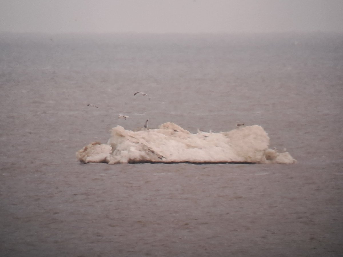 Roelf Hovinga tweet media