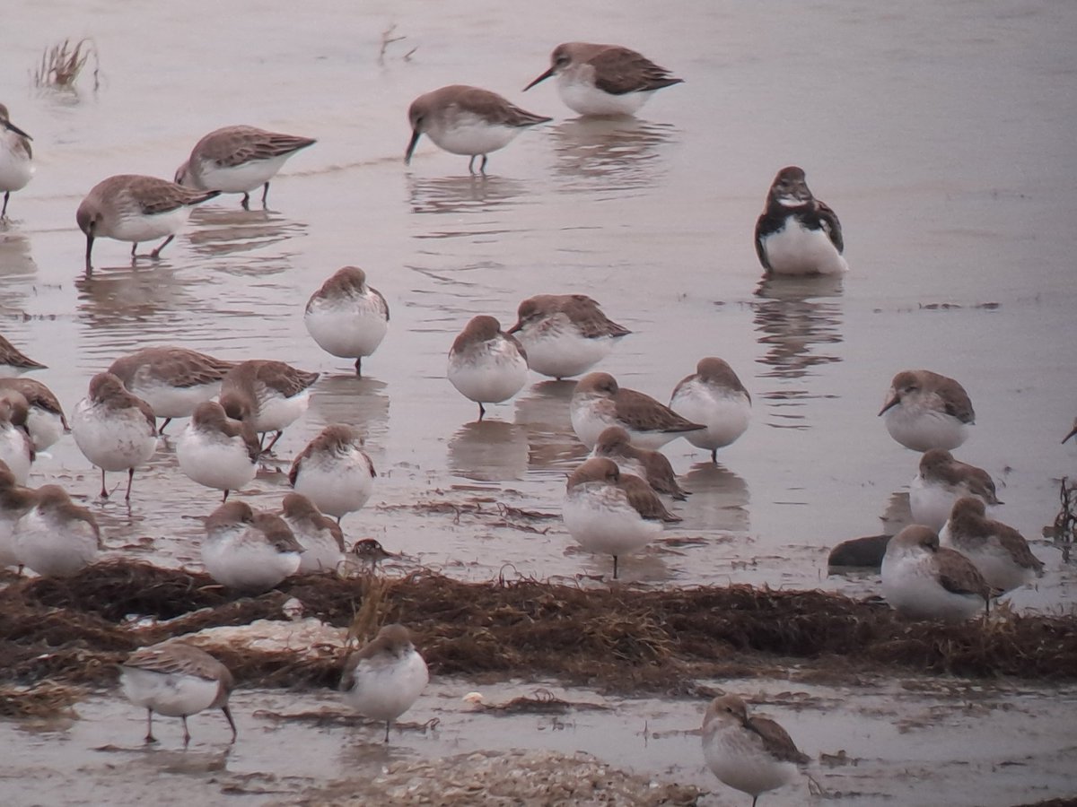 Roelf Hovinga tweet media