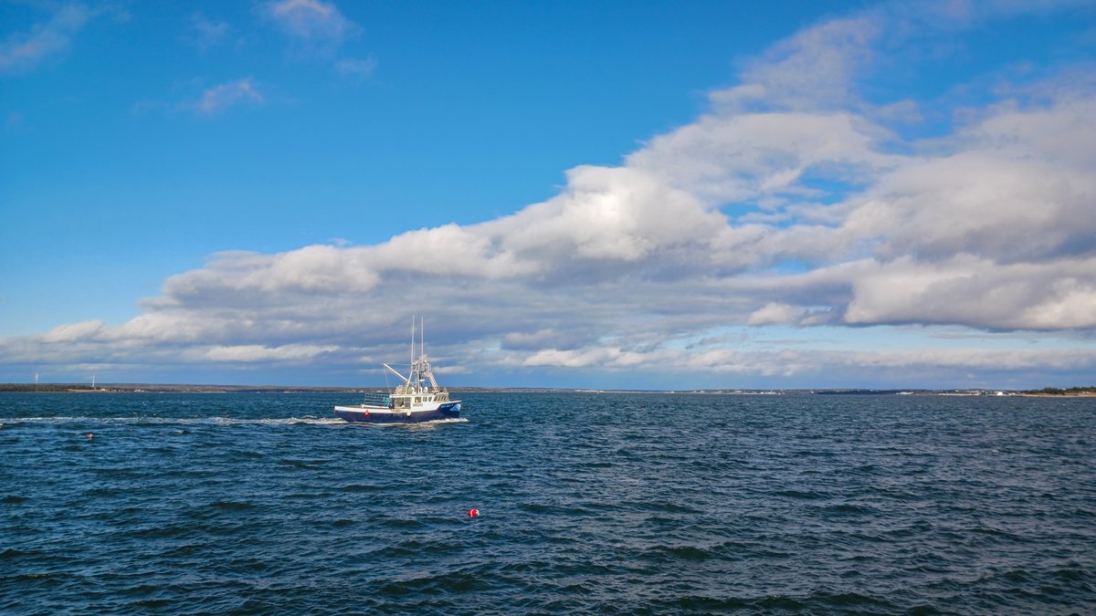 ImagesCoast's tweet photo. Lobster boat returns to the wharf at West Head, Clarks Harbour, Nova Scotia January 2024 #NovaScotia #lobster #CapeSable #lobsterboat https://t.co/prC3O83pcP
