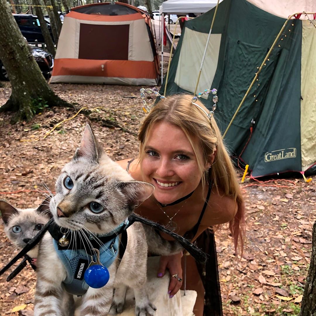 Suwannee River Jam tweet media