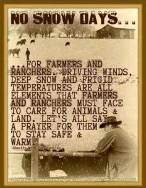 faither101_'s tweet photo. If there was ever a time to thank a farmer or rancher, now would be it. They are out here working their tails off to do what they can for their livestock in these frigid conditions. I have so much admiration and appreciation for my dad &amp; what he does everyday! @FellowsFarm https://t.co/XV8HAcn7GE