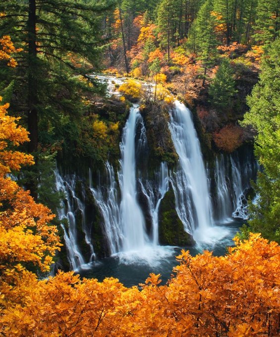 The place where the dream journey begins.