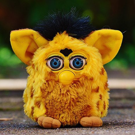 E L   H O T Z O tweet media