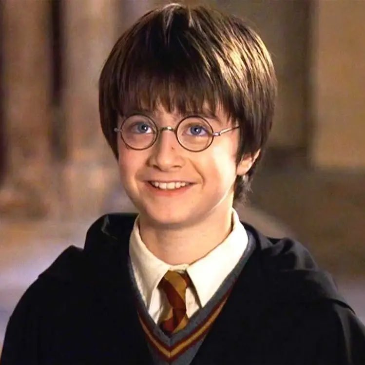 EiProfeta's tweet photo. Yo viendo por primera vez “Harry Potter y la piedra filosofal” / Yo cuando se estrene la nueva serie de Harry Potter https://t.co/SwF2ihRdjE