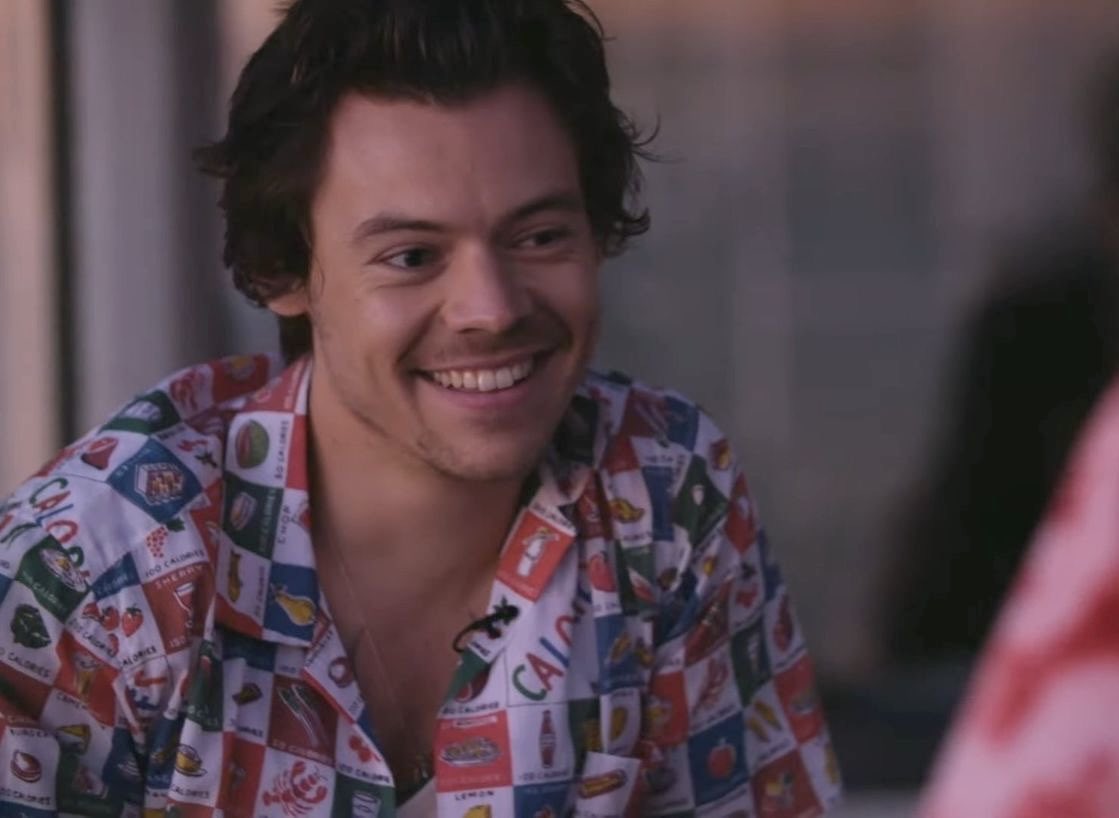 safeharrys's tweet photo. “don’t worry about it, everything’s gonna be fine!” https://t.co/EFsgjbPCG3