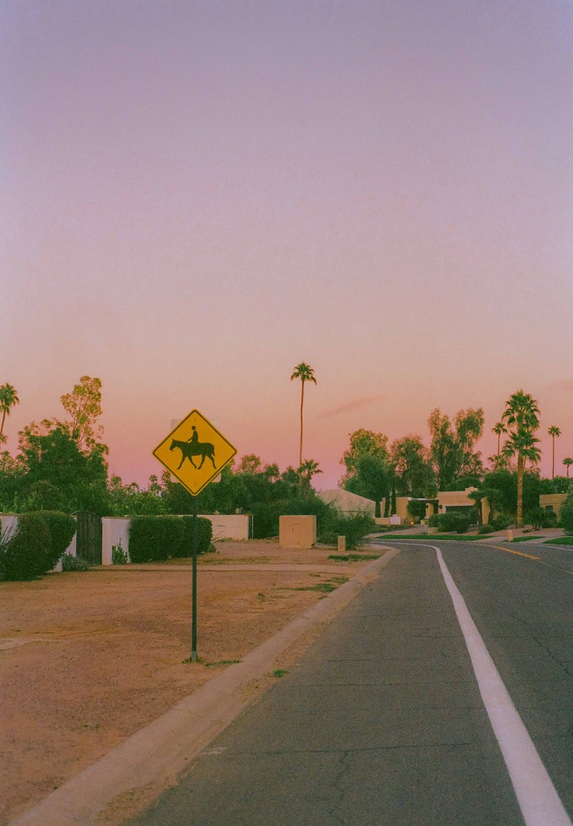 AlexKittoe's tweet photo. Horse Crossing 🎞️ https://t.co/0IpikMdQL8