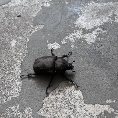 HTMLCSS0630422's tweet photo. #新しいプロフィール画像 https://t.co/d9U7uG6EO5
