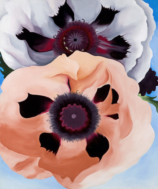 1000Museums's tweet photo. Embrace the warmth and vitality of #PeachFuzz, Pantone's Color of the Year in our latest collection: https://t.co/Jpjxd3zymo

🖼: Georgia O'Keeffe, Poppies, 1950. Milwaukee Art Museum © 2023 Georgia O'Keeffe Museum / Artists Rights Society (ARS), New York https://t.co/qeN0OdI4av https://t.co/hXbRRqtFEk