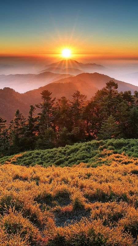 Showy and beautiful views are soothing!
