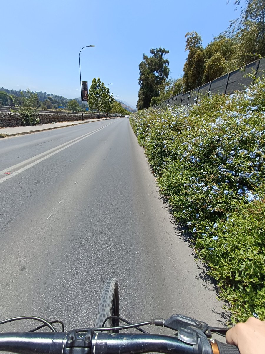 Francisco Fernandez tweet media