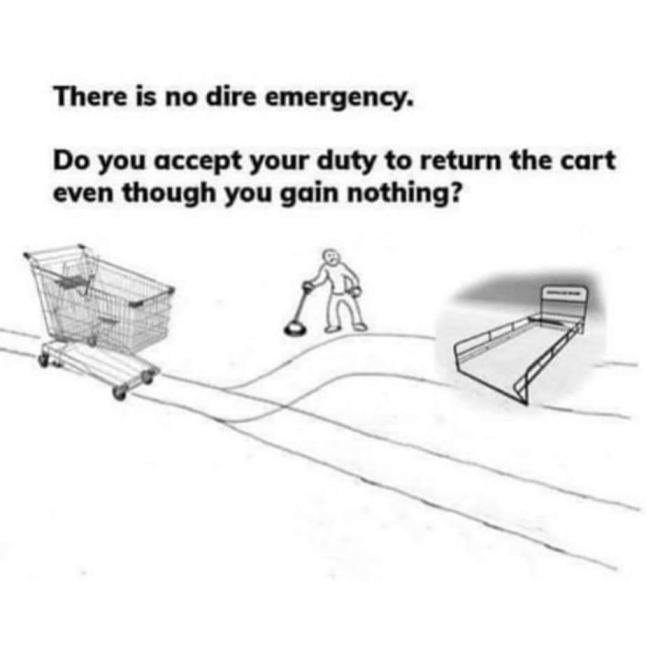 The most basic test of civilization is the shopping trolley problem