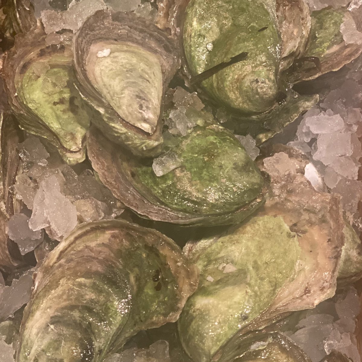 LOW TIDE ALERT - tomorrow (Sunday) we’ll be offering up selected #Oysters for $1.50 a pop all day (until they’re gone). We’ll be opening up the West Bar, drawing the curtains and getting old-school with service. Let’s have a time!