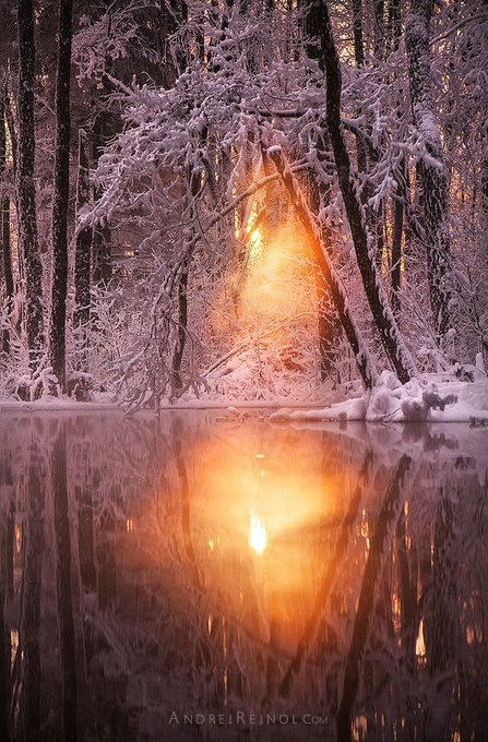 Pleasant to look at.