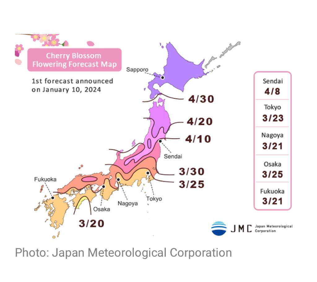 kamalzharif's tweet photo. Sesiapa yang hendak ke Jepun ketika musim bunga, ini waktunya. 

Di Tokyo: ketika masih puasa. 
Di Hokkaido: ketika masih sebulan beraya. https://t.co/ZEeIMjkYSk
