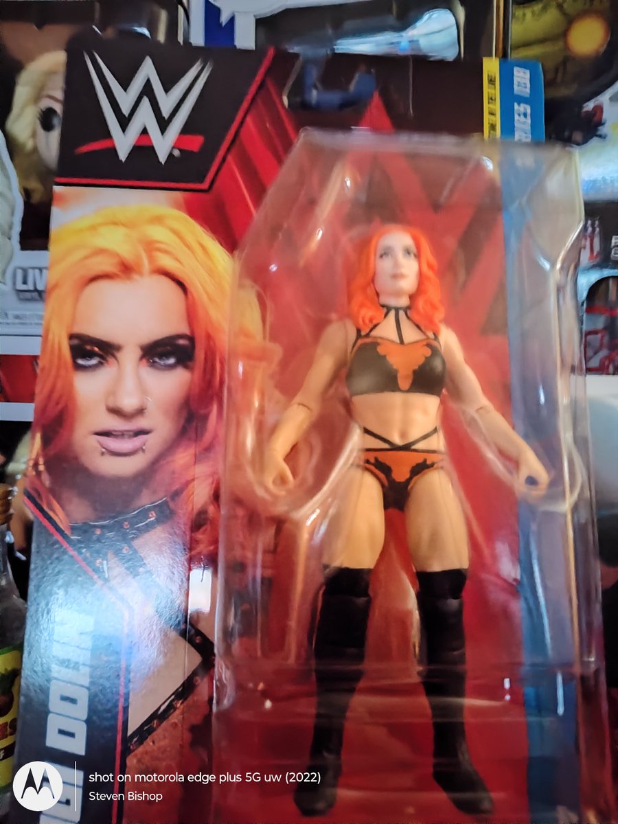 nmwsb1's tweet photo. Picked this gem up today @gigidolin_wwe @WWENXT https://t.co/usw0rNpi5K