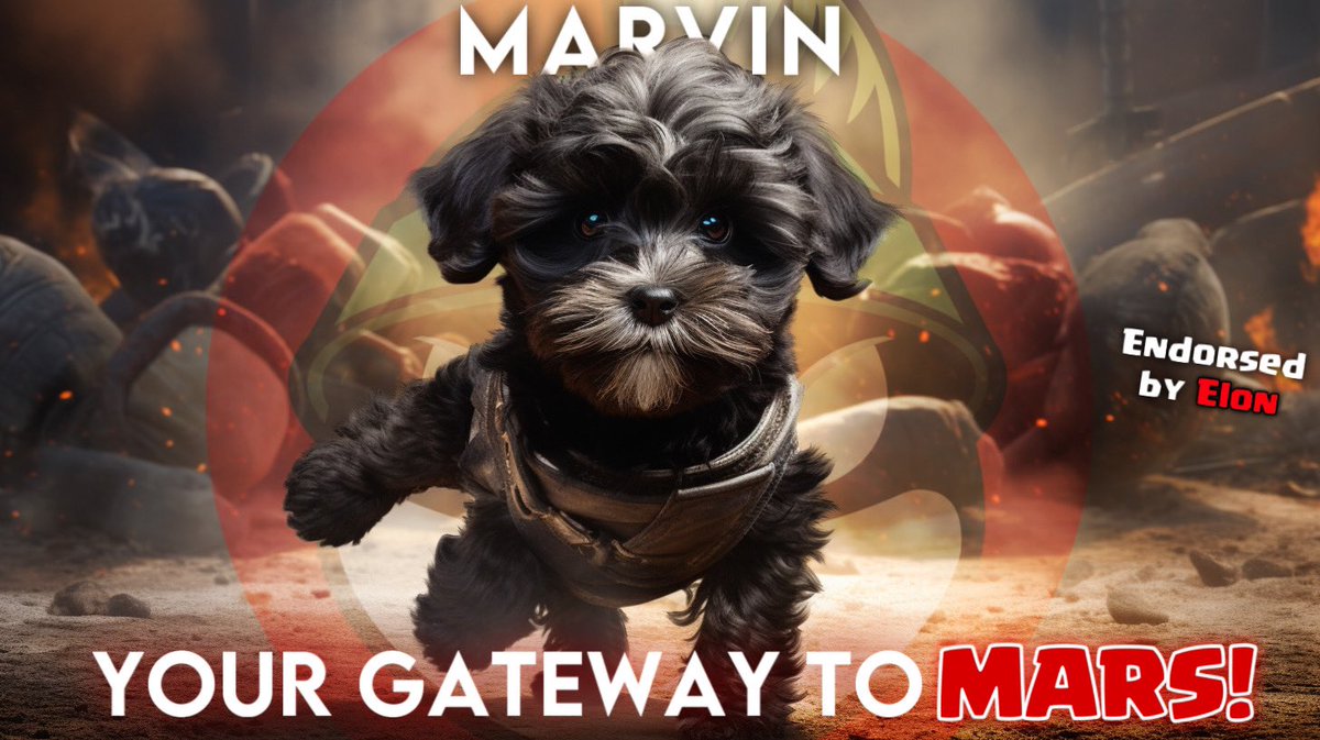 @DoxxedChannel @ChadGenEth Nice! Soon it will rotate back to ETH and we might see a dog-season again soon! I hope you bagged up on the 2021 OG Elon dog @Marvin_Inu endorsed by Elon Himself! 🐶 $MARVIN