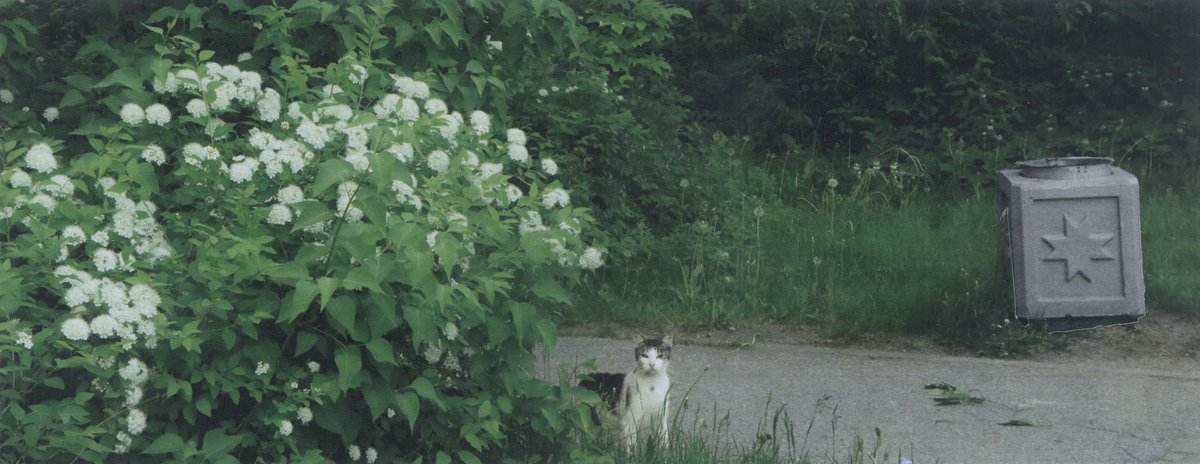 murchelfotodump's tweet photo. peeks

#collage #photo #photographer
#photography #photoart #photoartist #art
#artist #nature #canon #cat https://t.co/CjBVObKKOf