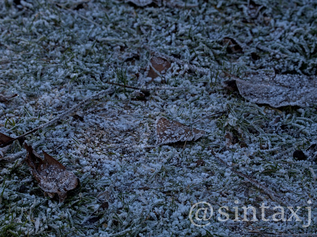 ❄️#Winter ❄️

Frozen leaves on the ground. How's the weather in your area?

#photography #lumixg9 #frozen