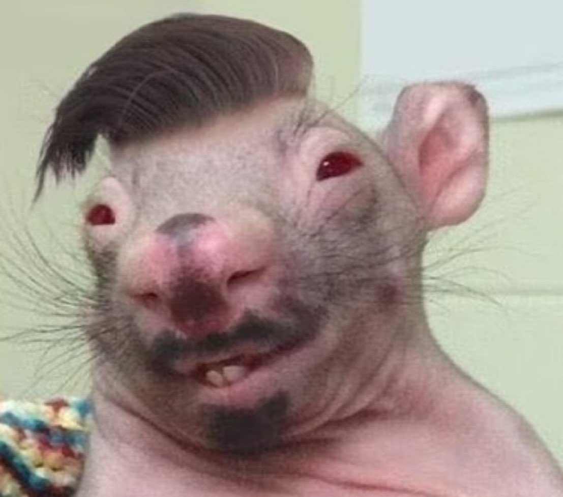 a yasmin brunet:                      o cara que falou mal do corpo dela: