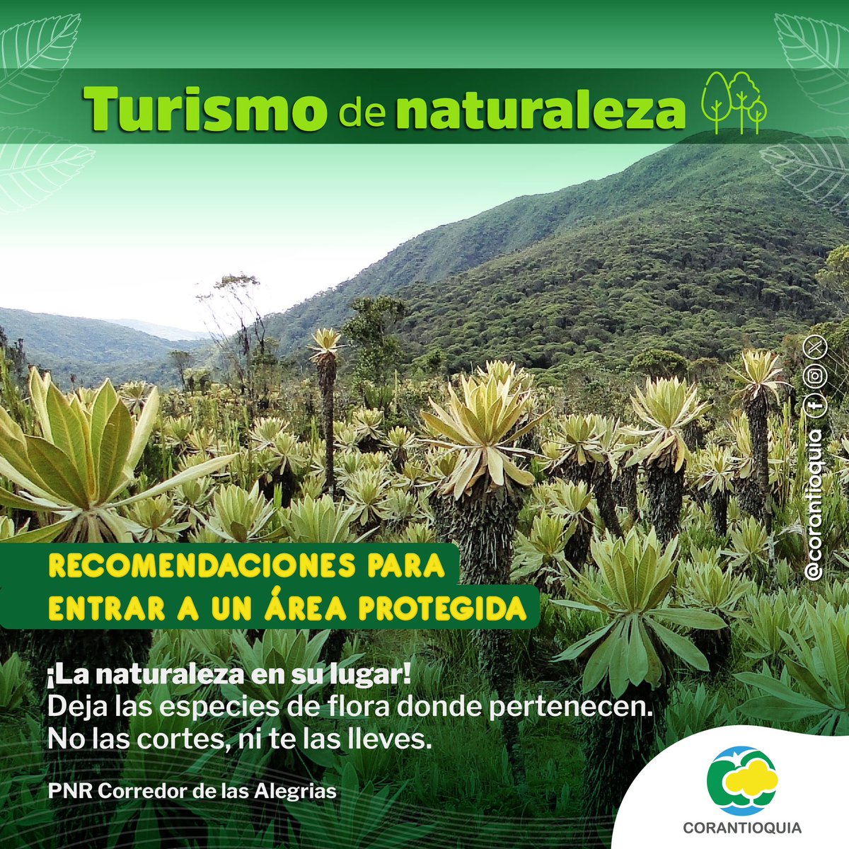 #TurismoDeNaturaleza | La fauna 🦜🦉🐒 y la flora 🌱silvestre tienen un lugar y no es contigo. Cuida, protege y conserva las áreas protegidas de Antioquia y 🇨🇴. #JuntosPorLaVida