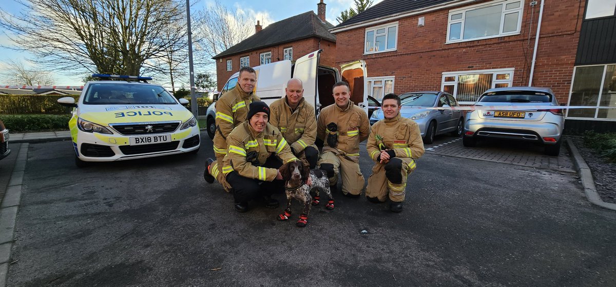 WMFSFireDog tweet picture