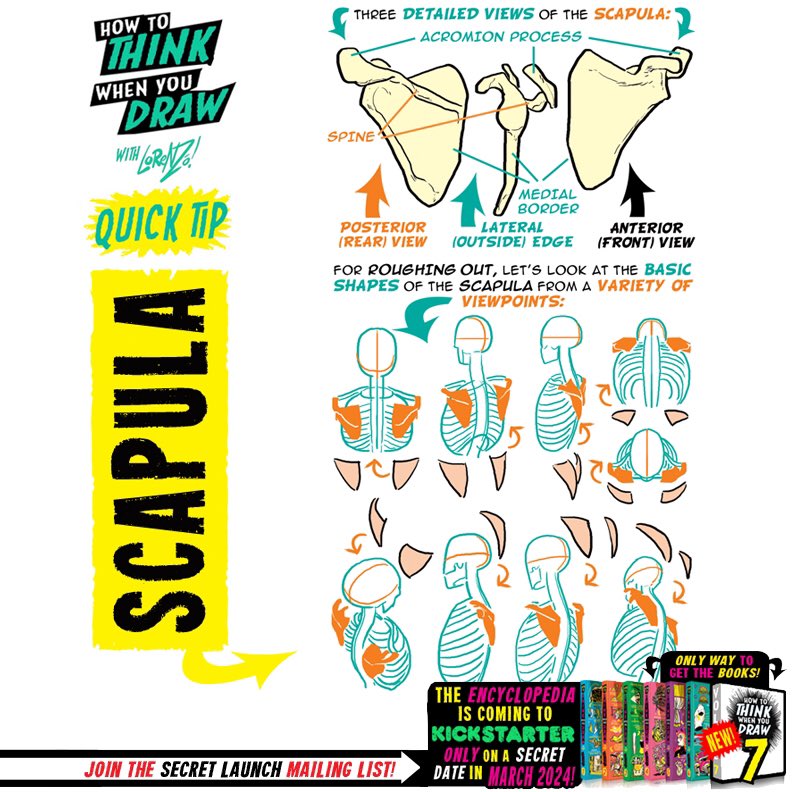 EtheringtonBros's tweet photo. SCAPULA for #LEARNUARY, from the How to THINK When You Draw ENCYCLOPEDIA - the world’s ONLY encyclopedia of drawing tutorials, posted up FREE for EVERYONE, FOREVER, with NEW &amp; CLASSIC tutorials coming up EVERY DAY right here :)
#gamedev #manga #conceptart #illustration https://t.co/prLxZ2GaUY